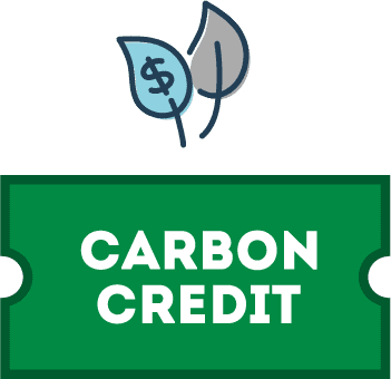 CARBON CREDIT